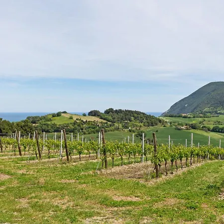 Traditional In Varano With Private Garden Willa